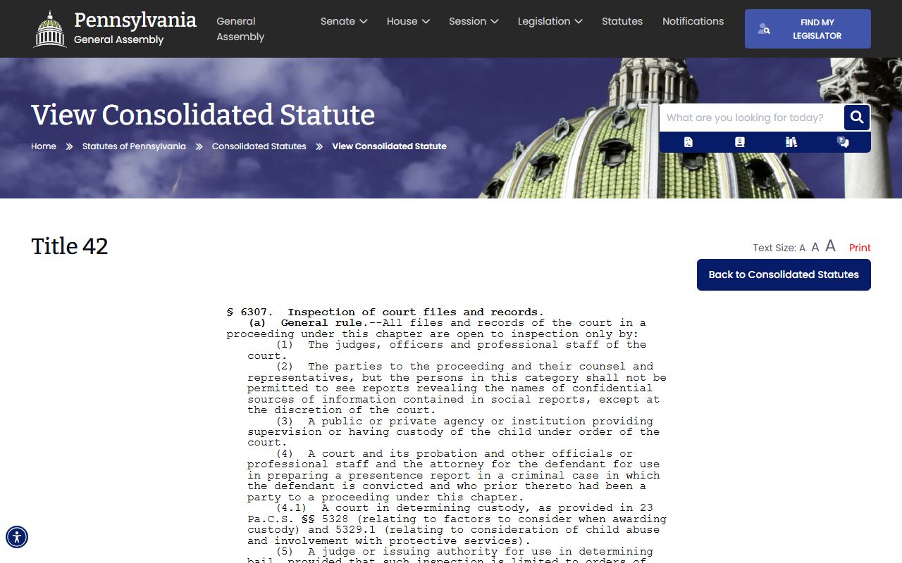 Centre County arrest records and court charges juvenile records statute